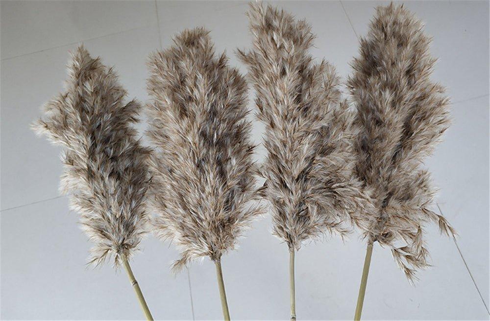 Skanto | 60 cm Natural, Genuine, Brown-Beige Dried Pampas Grass Bouquet │ Fluffy Feathers for Modern Boho Home Decor