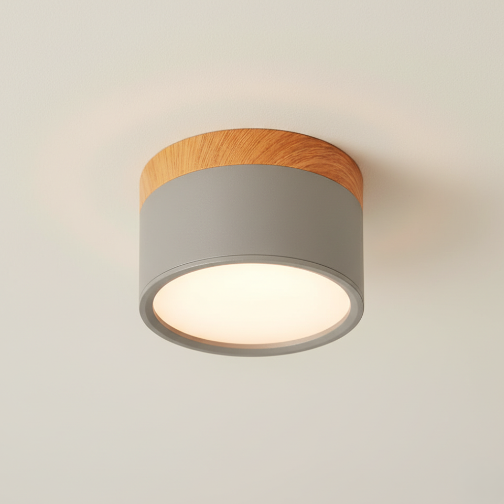 Aluminum LED Flush Mount Ceiling Light
