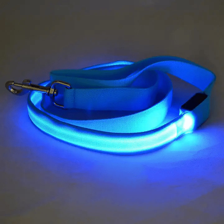 BowLift | LED dog leash with USB charging & reflective design