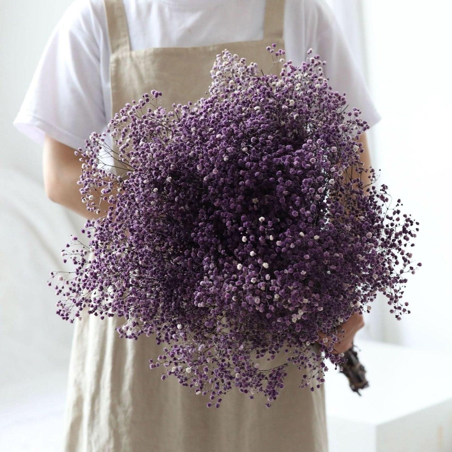 Skanto Skanto | Dried Preserved Gypsophila Flower Bunch – Natural Decor