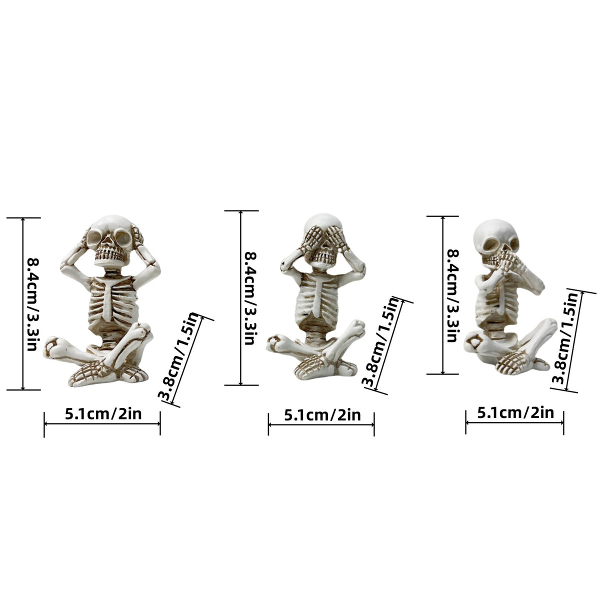 Decorative skeleton figure Acalora