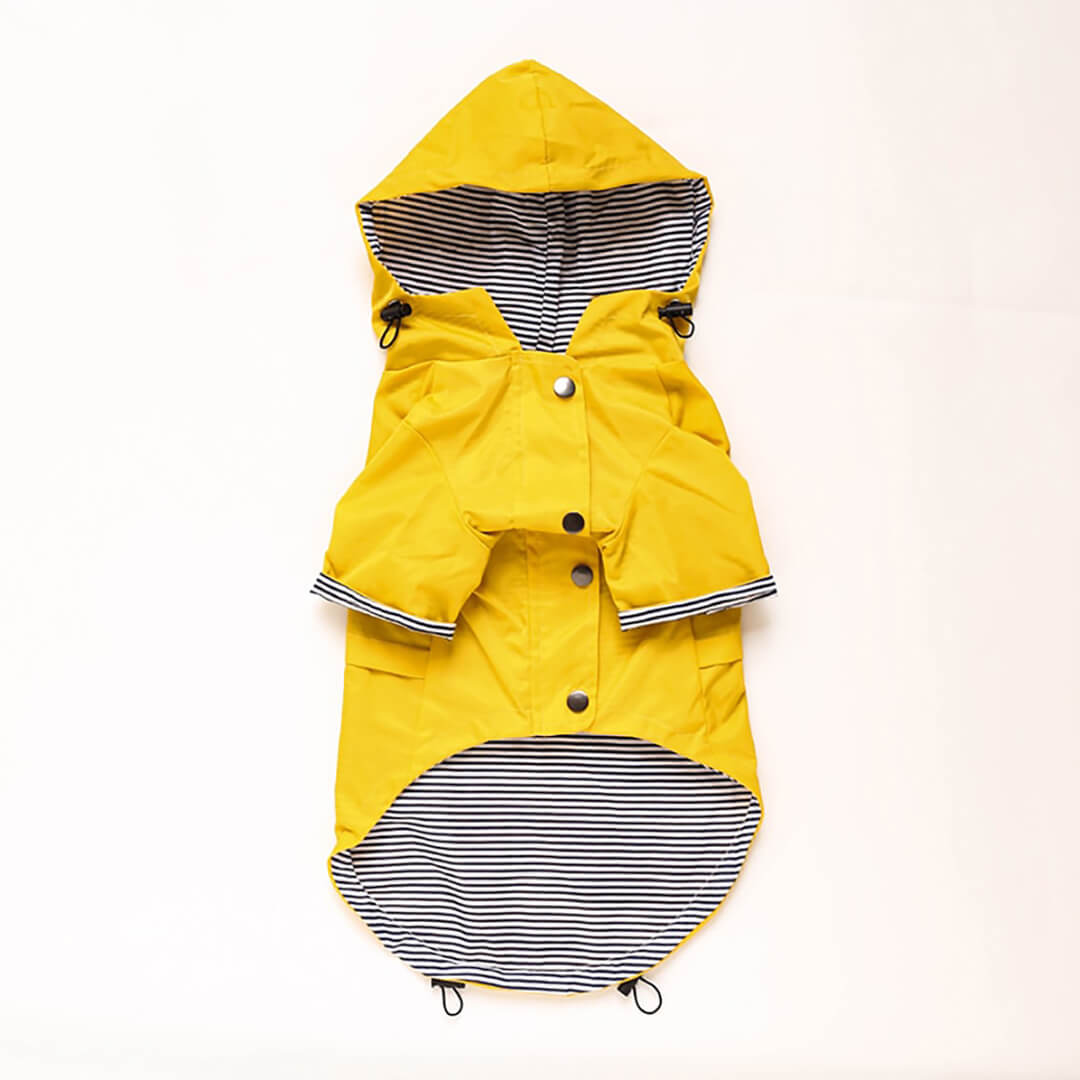 Skanto | Yellow Raincoat