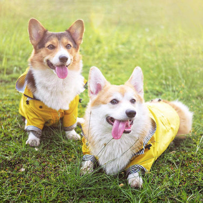 Skanto | Yellow Raincoat
