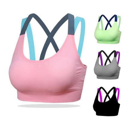 Padded Shockproof Sports Bra | Bowlift