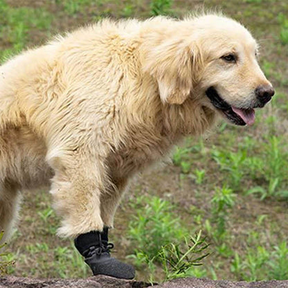 Outdoor waterproof breathable hiking running non-slip dog shoes