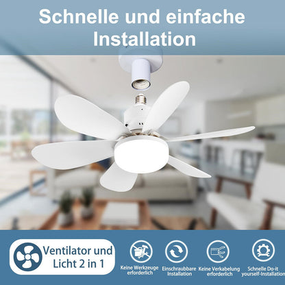 Skanto | Skanto Ceiling Fan with Light