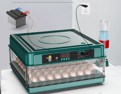 BowLift | Digital Egg Incubator with Adjustable Tray