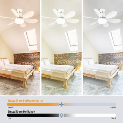 Skanto | Skanto Ceiling Fan with Light