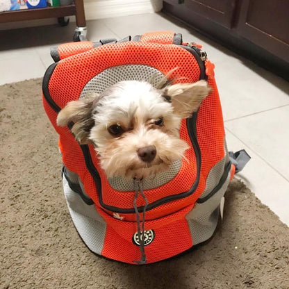 Brehn | Backpack for dogs/cats