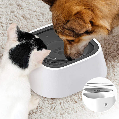 Skanto | Pets Zero Splash Bowl