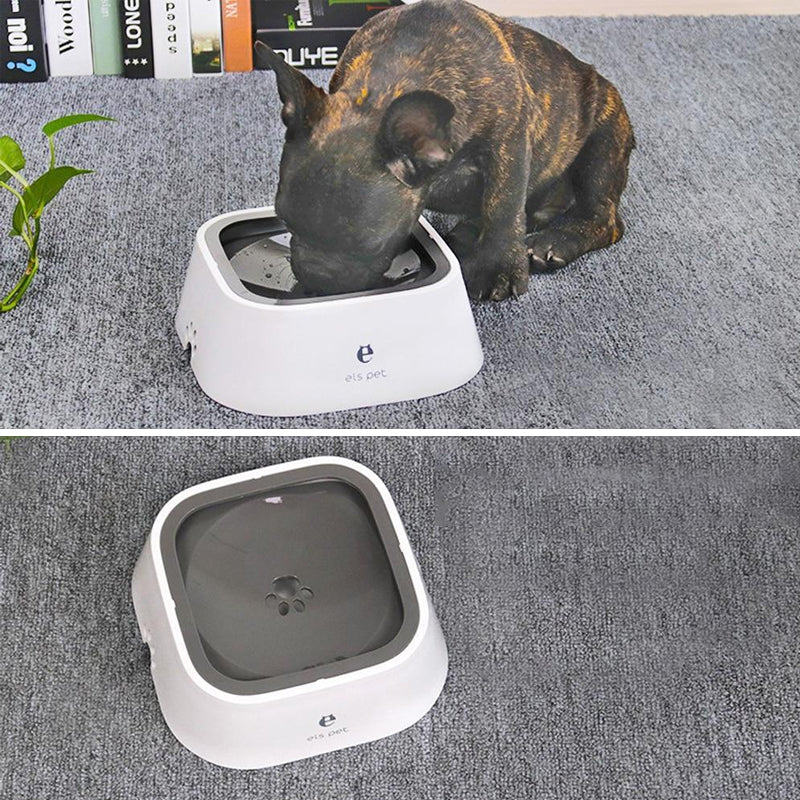 Skanto | Pets Zero Splash Bowl