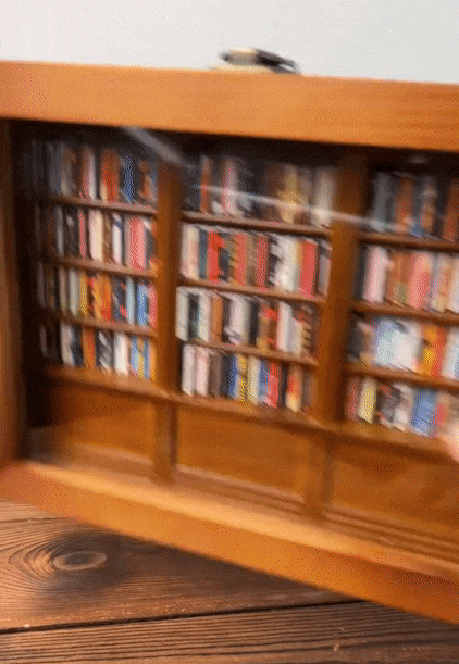 Skanto | Angst Bookshelf | Shake Away Your Anxiety
