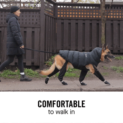 Skanto | Paw Boots