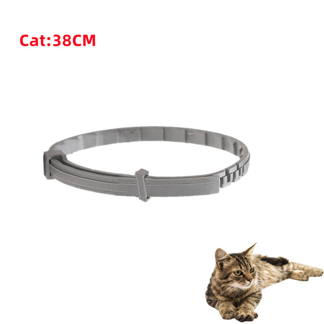 Skanto | Anti-Flea Pet Collar