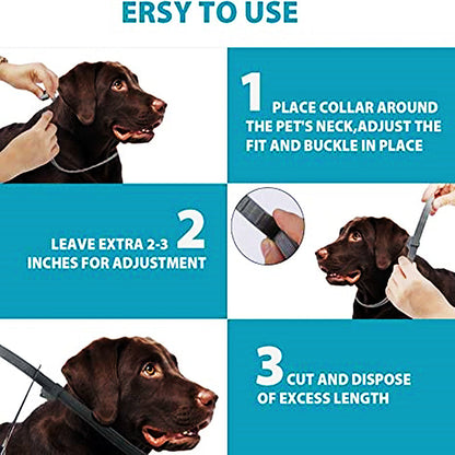 Skanto | Anti-Flea Pet Collar