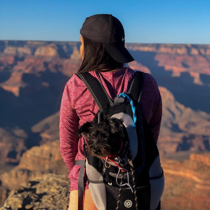 Brehn | Backpack for dogs/cats