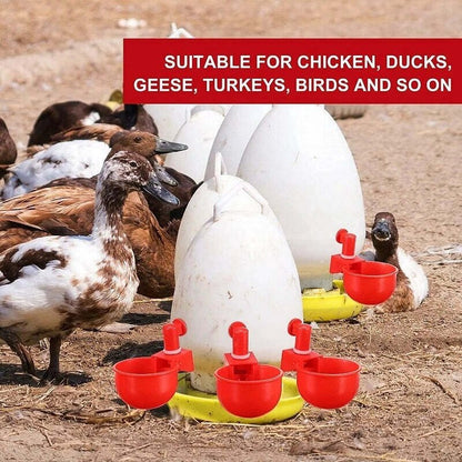 Norvo | Automatic Chicken Water Cup Bird Coop