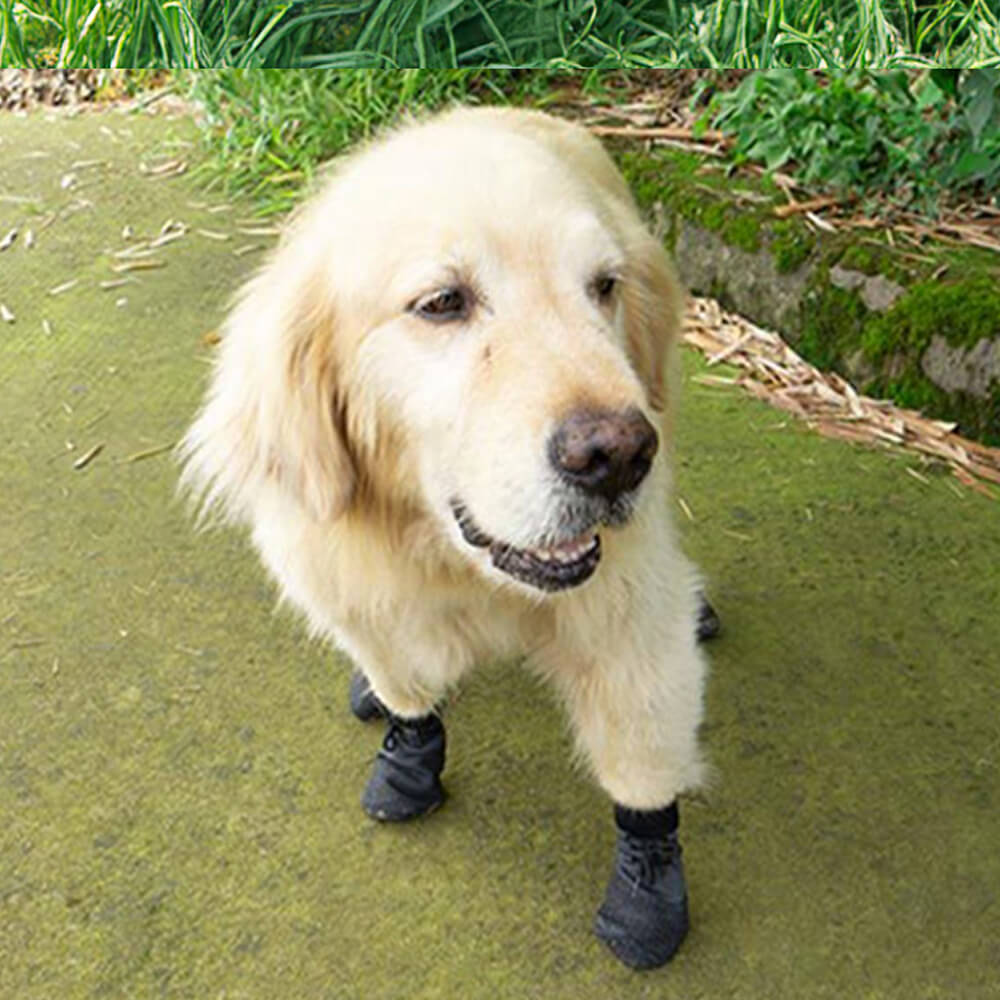 Outdoor waterproof breathable hiking running non-slip dog shoes