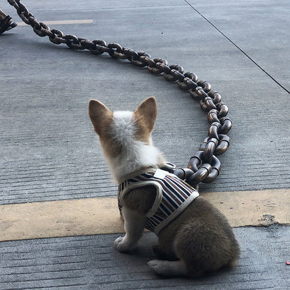 BowLift | Funny Dog Leash