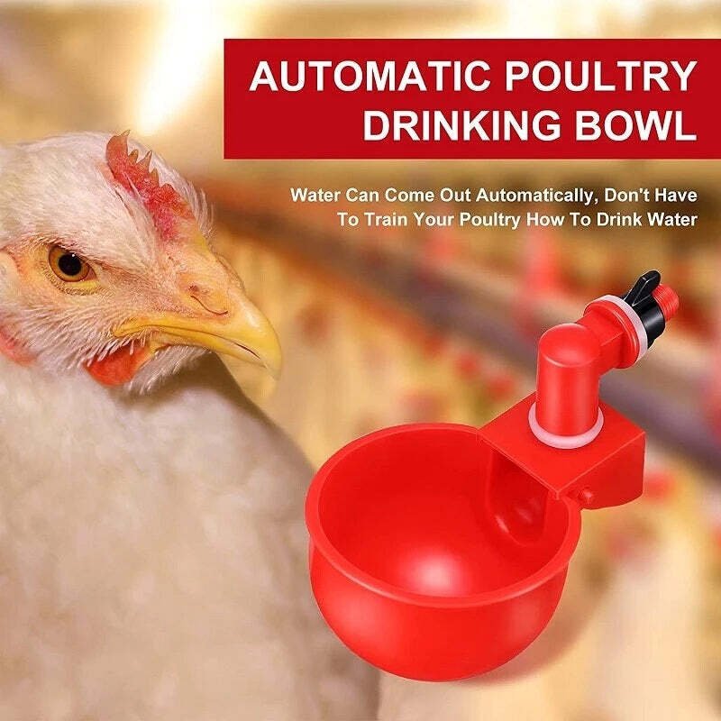 Norvo | Automatic Chicken Water Cup Bird Coop