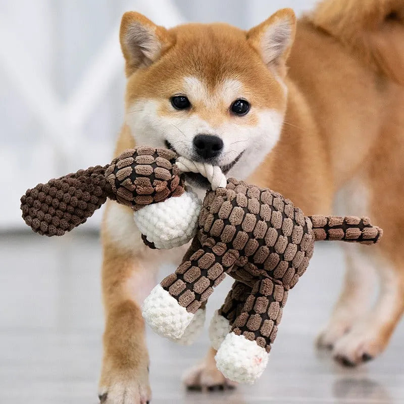 Squeaky plush toy for dogs