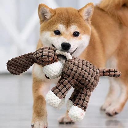 Squeaky plush toy for dogs