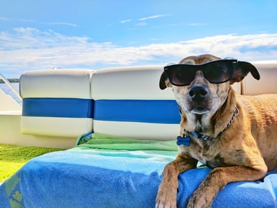 Skanto | Pet Cooling Mat with Non-Toxic Self-Cooling Gel