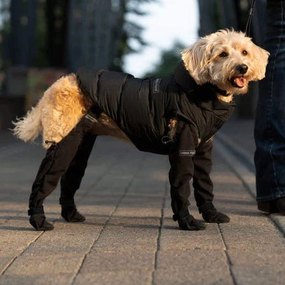 BowLift | Suspender Boots