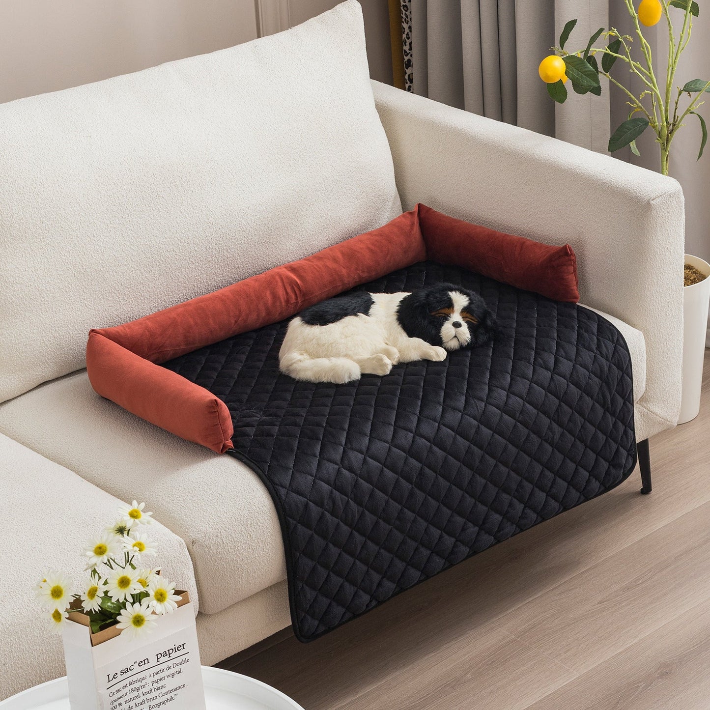 Skanto | Dog Sofa with Cushion.