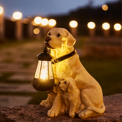Playful Paws Solar Lamp Bowlift