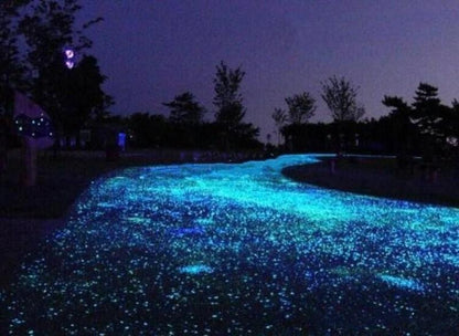 Gleam - Glow-in-the-Dark Garden Pebbles | Bowlift