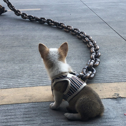 ChainWalk Leash Bowlift