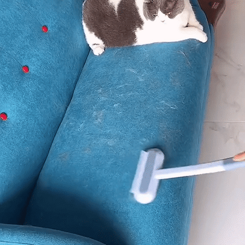 Skanto | 3-in-1 Pet Hair Remover - Petclean Pro