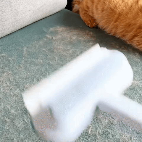 Skanto | 3-in-1 Pet Hair Remover - Petclean Pro
