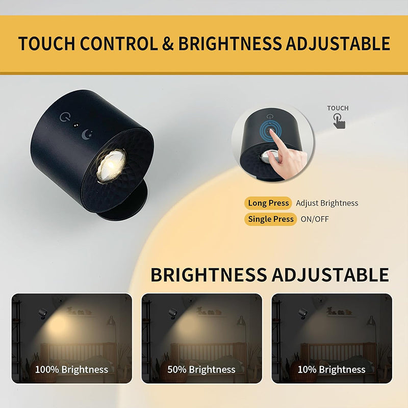 Battery lamp with timer, light with timer