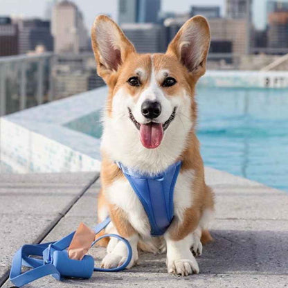 Skanto | Adjustable Dog Vest Harness with 3 Leash Clips
