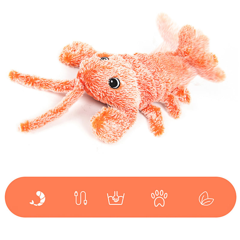 Skanto | Cat and Dog Toy