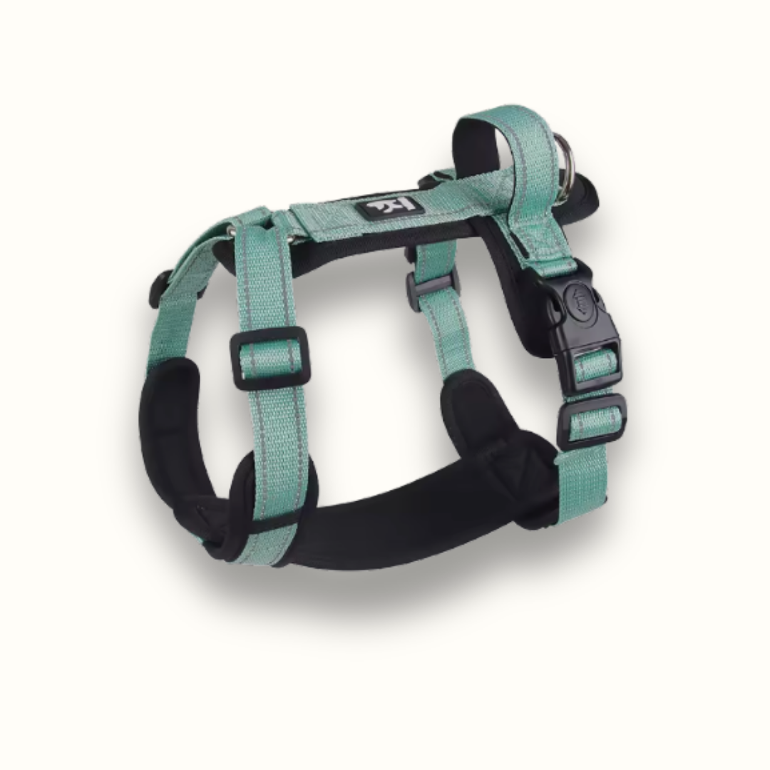 Skanto | StayPut - Adjustable No-Pull Dog Harness