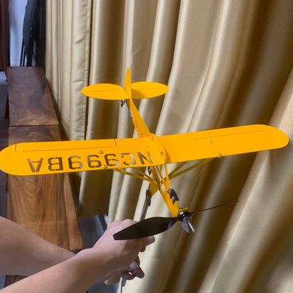 Brehn | Airplane Weathervane
