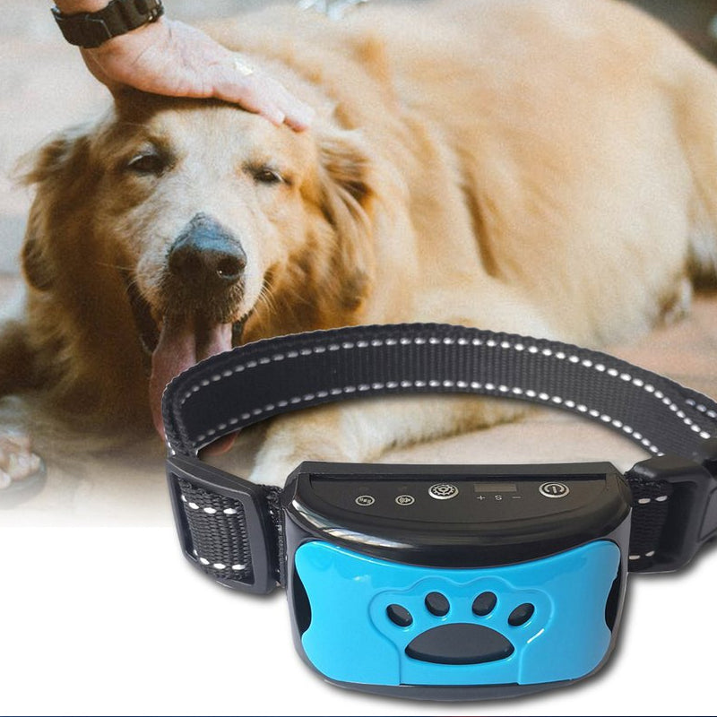 Rechargeable, waterproof dog trainer