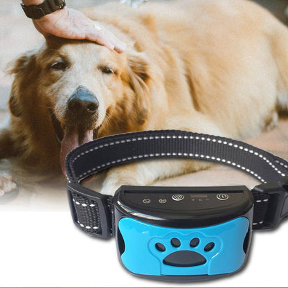 Rechargeable, waterproof dog trainer