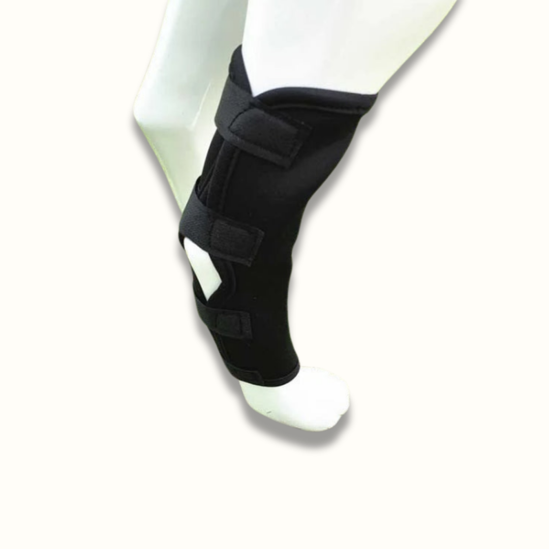 Skanto | PawBrace - Orthopedic Dog Leg Brace