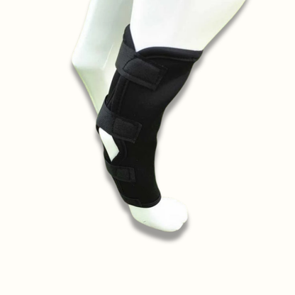 Skanto | PawBrace - Orthopedic Dog Leg Brace