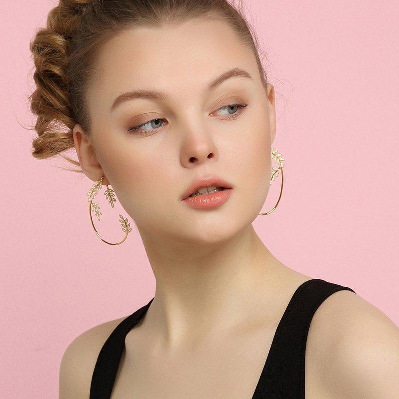 Sparkling zircon earrings