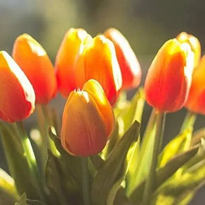 BowLift | 10-piece set artificial tulips made of latex – stylish and durable decorative flowers