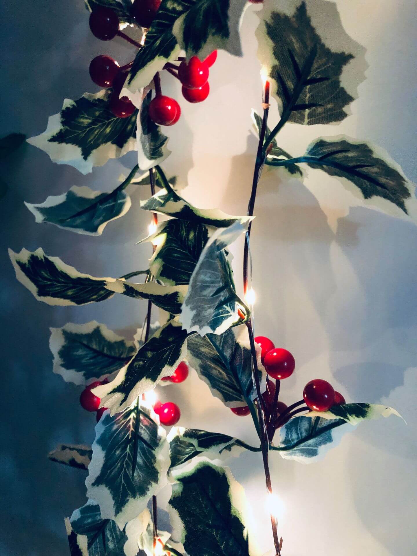 Skanto | Christmas Red Fruit Rattan Festival Window Patio Party Thanksgiving Decoration Light Chain