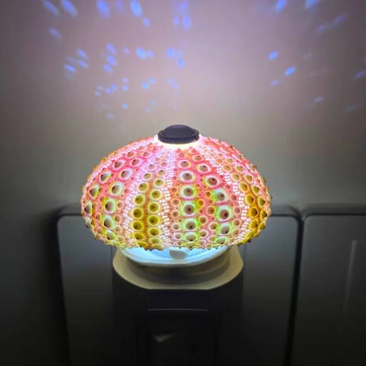 LumiCraft – Unique DIY table lamp with natural shell for a cozy ambiance