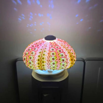LumiCraft – Unique DIY table lamp with natural shell for a cozy ambiance