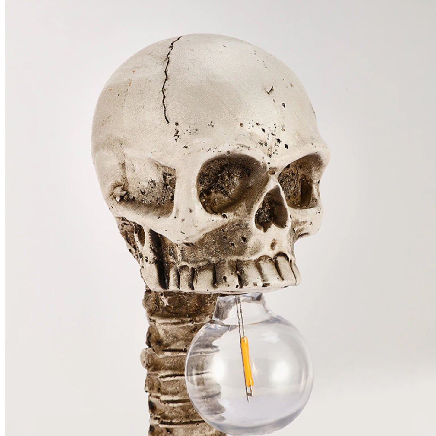Skanto | Skeleton with Spine Lamp