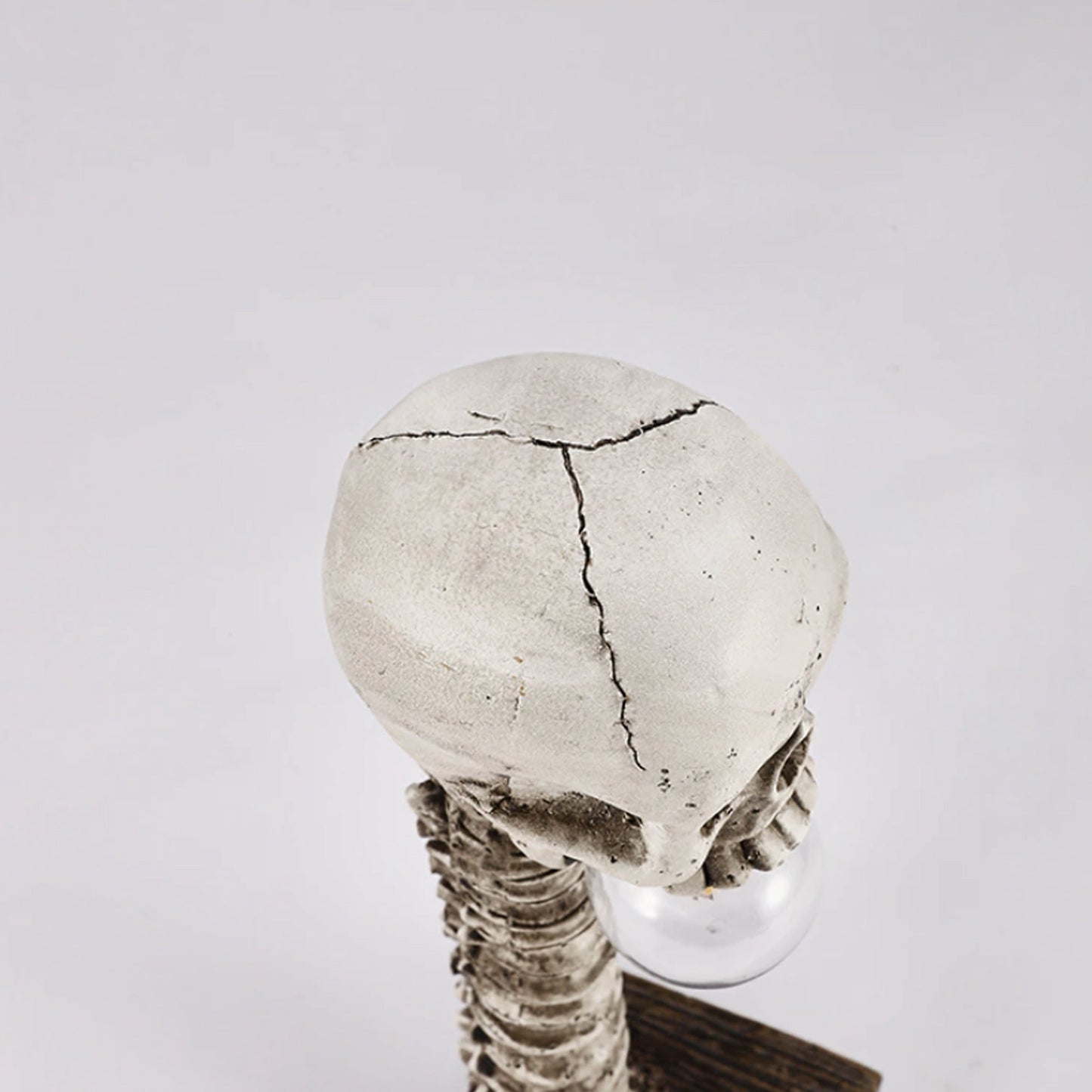 Skanto | Skeleton with Spine Lamp